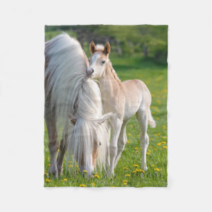 Haflinger-paarden brengen Baby met een foto van ma Fleece Deken