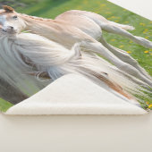 Haflinger paarden koken Baby met foto ... Sherpa Deken (3/4)