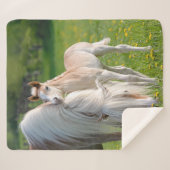 Haflinger paarden koken Baby met foto ... Sherpa Deken (Voorkant (horizontaal))