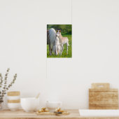 Haflinger-paarden koken Baby met foto van mam Poster (Keuken)