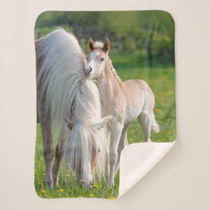 Haflinger-paarden koken Baby met foto van mam, Sherpa Deken