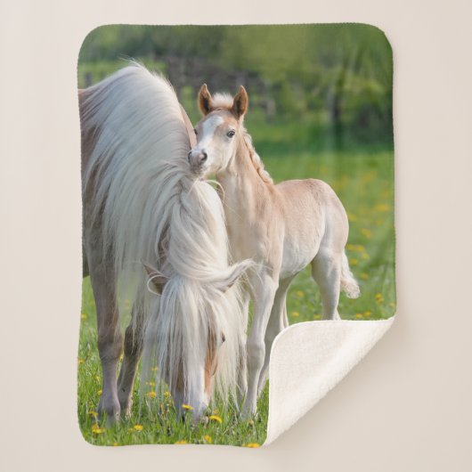 Haflinger-paarden koken Baby met foto van mam, Sherpa Deken (Voorkant)