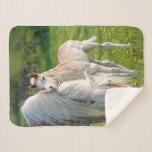 Haflinger-paarden koken Baby met foto van mam, Sherpa Deken (Voorkant (horizontaal))