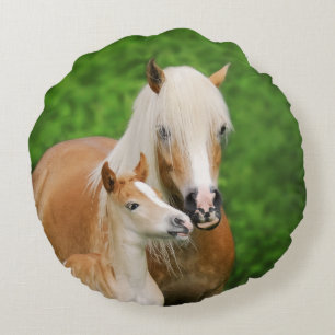 Haflinger Paarden Leuk Veulen Kus Mum Foto glad Rond Kussen