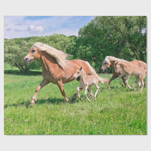 Haflinger-paarden met Cute Foals Draait Foto * Cadeaupapier (Vlak)