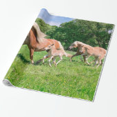 Haflinger-paarden met Cute Foals Draait Foto * Cadeaupapier (Uitgerold)