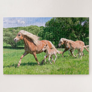 Haflinger-paarden met Cute Foals Draait Foto * Legpuzzel
