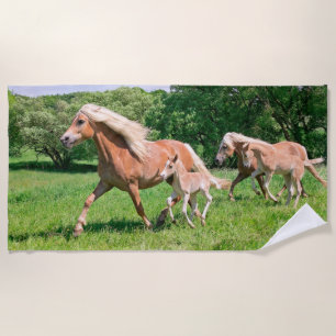Haflinger-paarden met Cute Foals Draait Foto _ Strandlaken