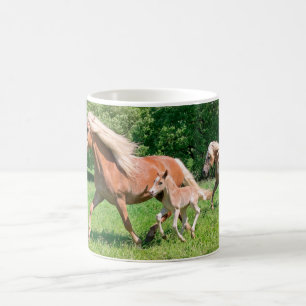 Haflinger paarden met Cute Foals maken een grappig Koffiemok