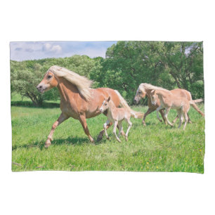 Haflinger paarden met Cute Foals maken een grappig Kussensloop