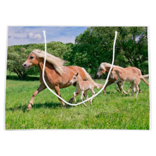 Haflinger paarden met Cute Foals maken een grappig Large Cadeautasje