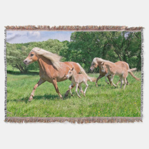 Haflinger Paarden met Cute Foals met Funny Photo - Deken