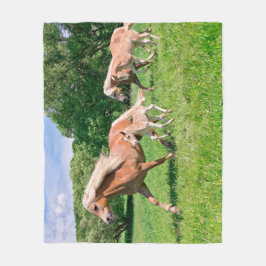Haflinger-paarden met Cute Foals met Funny Photo Fleece Deken