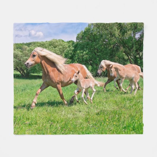Haflinger-paarden met Cute Foals met Funny Photo Fleece Deken (Voorkant (Horizontaal))