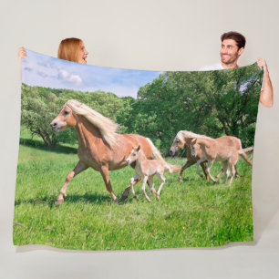 Haflinger Paarden met Cute Foals met Funny Photo - Fleece Deken