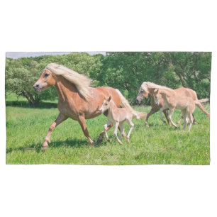Haflinger Paarden met Cute Foals met Funny Photo - Kussensloop