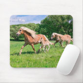 Haflinger Paarden met Cute Foals met Funny Photo - Muismat (Met muis)
