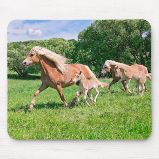 Haflinger Paarden met Cute Foals met Funny Photo - Muismat (Voorkant)