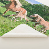 Haflinger-paarden met Cute Foals met Funny Photo / Sherpa Deken (3/4)