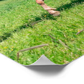 Haflinger-paarden met Cute Foals run Funny Animal Poster (Hoek)