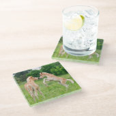 Haflinger paarden schattige fokkerijen - glazen onderzetter (Schuin)