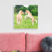 Haflinger paarden schattige veeteelt canvas afdruk (Insitu (Woonkamer))