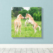 Haflinger paarden schattige veeteelt canvas afdruk (Insitu (Houten vloer))