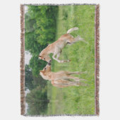 Haflinger paarden schattige veeteelt - deken (Voorkant Verticaal)