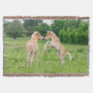 Haflinger paarden schattige veeteelt - deken