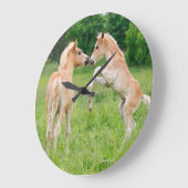 Haflinger paarden schattige veeteelt grote klok (Hoek)