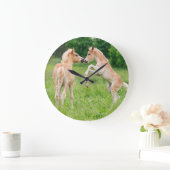 Haflinger paarden schattige veeteelt grote klok (Huis)