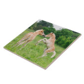 Haflinger paarden schattige veeteelt tegeltje (Zijkant)