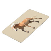 Haflinger Paardenmagneet. Magneet (Linkerzijde)