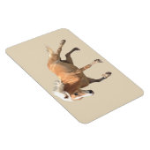 Haflinger Paardenmagneet. Magneet (Rechterzijde)