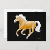 Haflinger Palomino Horse Briefkaart (Voorkant / Achterkant)