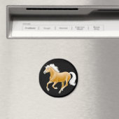Haflinger Palomino Paardenmagneet Zwart Magneet (Insitu (Vaatwasser))