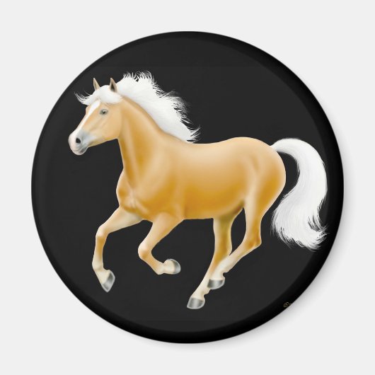 Haflinger Palomino Paardenmagneet Zwart Magneet (Voorkant)