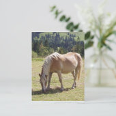 Haflinger Palomino Pony in zomerweide Foto Briefkaart (Staand voorkant)