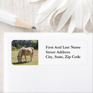 Haflinger Palomino Pony in zomerweide Foto Etiket