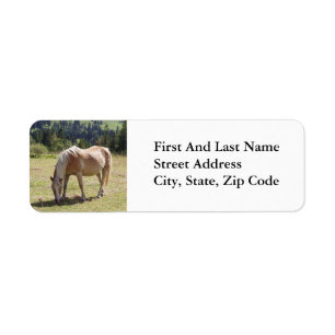 Haflinger Palomino Pony in zomerweide Foto Etiket