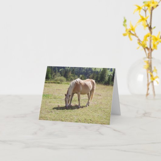 Haflinger Palomino Pony in zomerweide Foto Kaart (Gele Bloem)