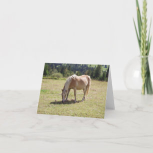 Haflinger Palomino Pony in zomerweide Foto Kaart