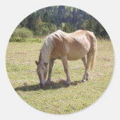 Haflinger Palomino Pony in zomerweide Foto Ronde Sticker (Voorkant)