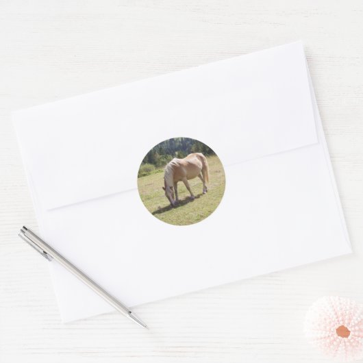 Haflinger Palomino Pony in zomerweide Foto Ronde Sticker (Envelop)