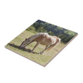 Haflinger Palomino Pony in zomerweide Foto Tegeltje (Zijkant)
