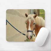 Haflinger-Pferd Muismat (Met muis)