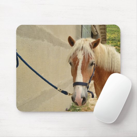 Haflinger-Pferd Muismat (Met muis)