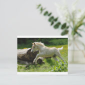 Haflinger Pony Briefkaart (Staand voorkant)