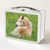 Haflinger Pony Horse Cute Foal in Flowerbed Photo (Voorkant)