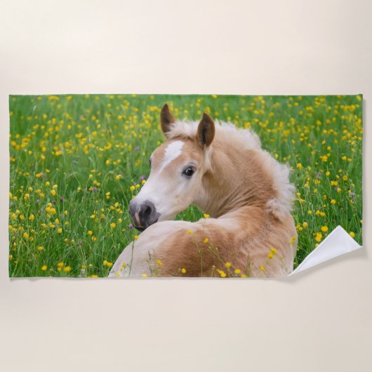 Haflinger Pony Horse Cute Foal in Flowerbed Photo Strandlaken (Voorkant)